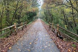 Chief Ladiga Trail in autumn with leaves on the path