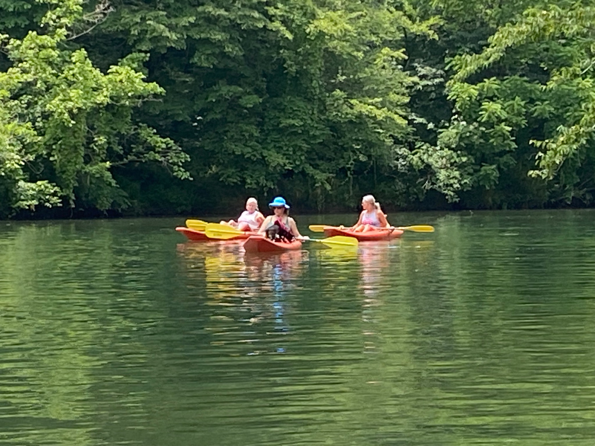 Family kayaking on Terrapin Creek near Piedmont, AL