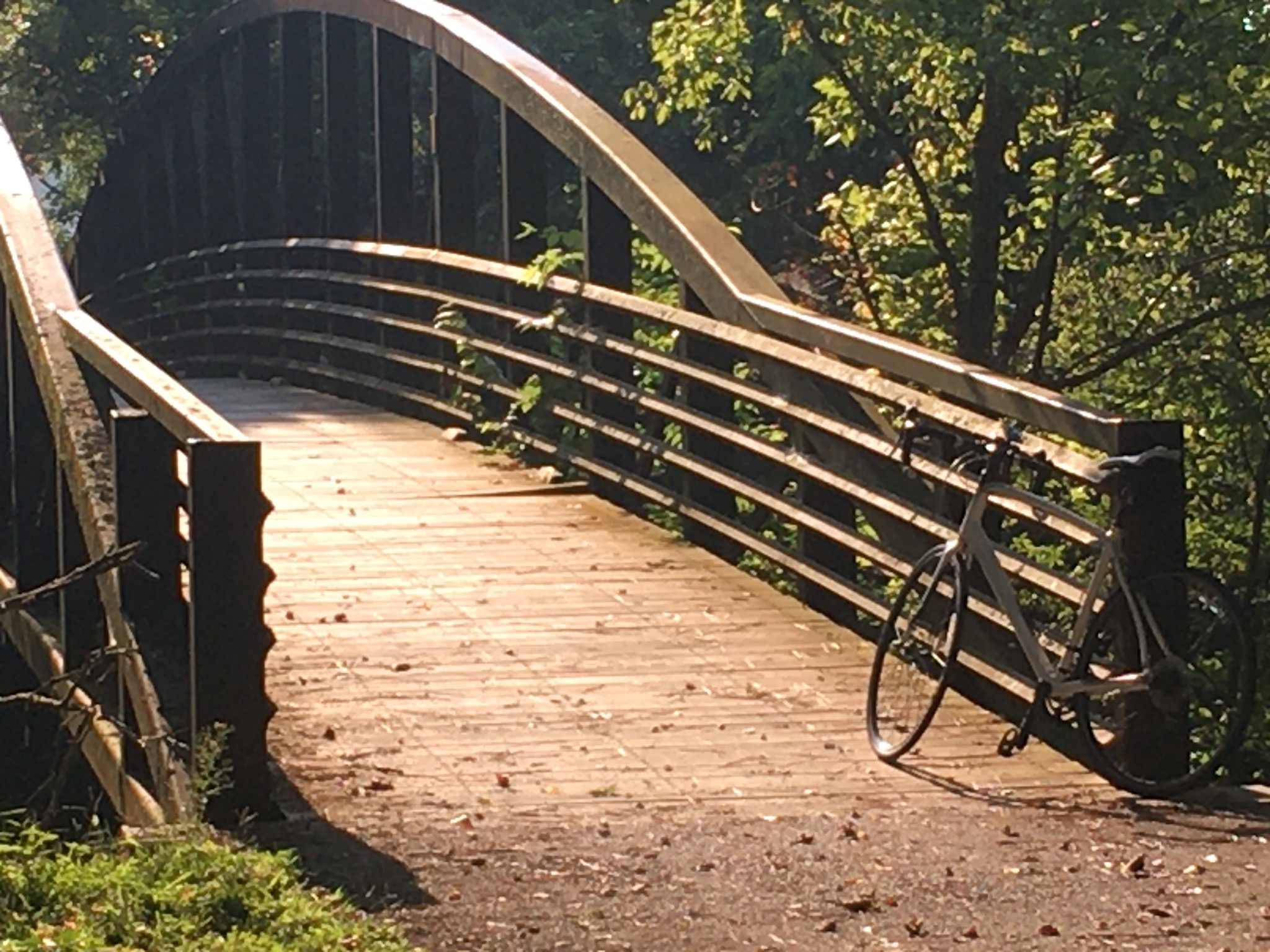 Bicycle on sunlit wooden bridge on the Chief Ladiga Trail